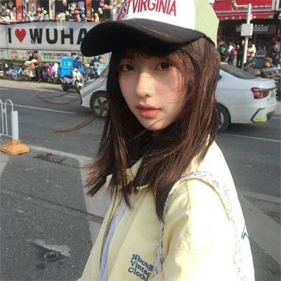 三只流浪猫